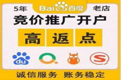 成功案例：专业SEM托管助力电商销售额翻倍